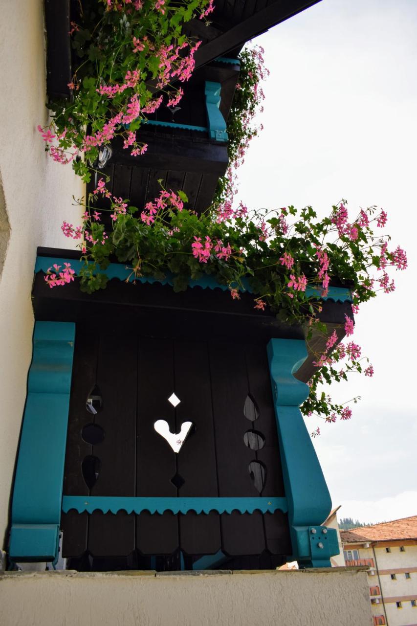 Vila Seva Vatra Dornei Bagian luar foto