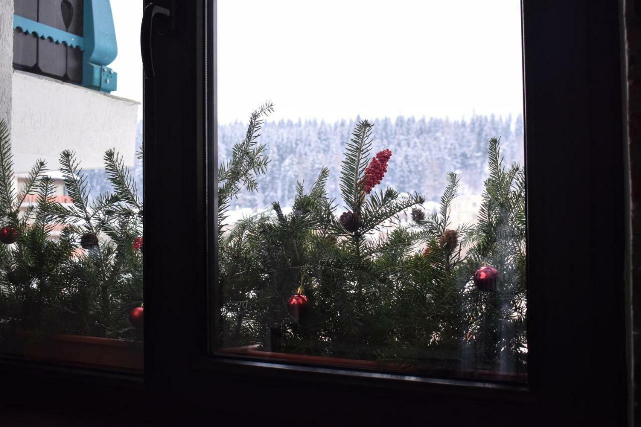 Vila Seva Vatra Dornei Bagian luar foto